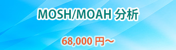 MOSH/MOAH分析